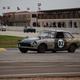 Illustration for article titled The 24 Hours Of LeMons Texas Gator-O-Rama Über Gallery: The Europeans
